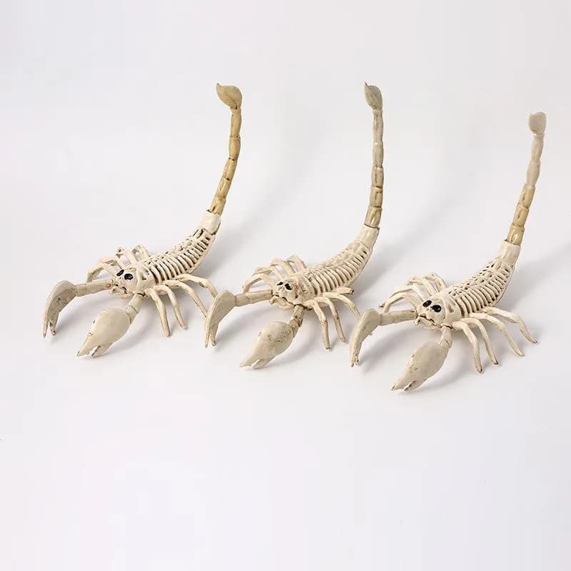 Realistic Scorpion Skeleton Decor