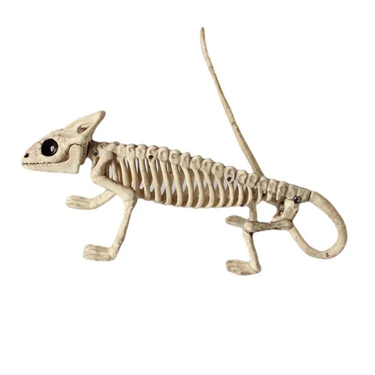 Factory Supplier Plastic Animal Skeleton - Creepy Chameleon Bones Prop for Halloween Party & Haunted House Decor, OEM Bulk