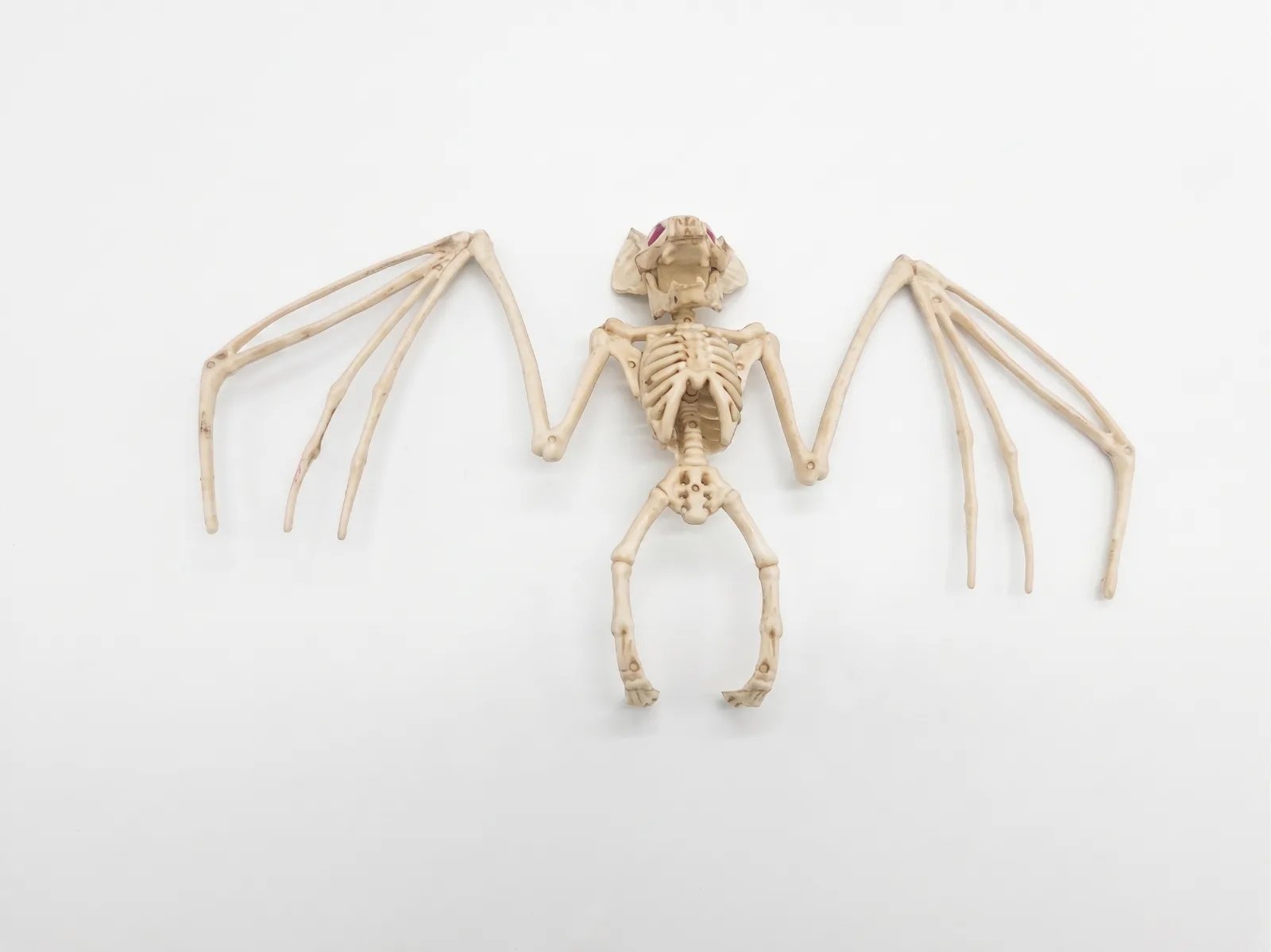Factory Supplier Halloween Bat Bones Prop - Durable Realistic Plastic Vampire Bat Skeleton for Haunted House & Retailers, Bulk Pricing