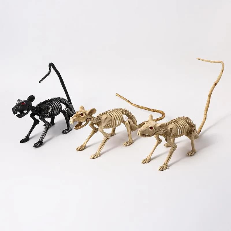 Mouse Skeleton
