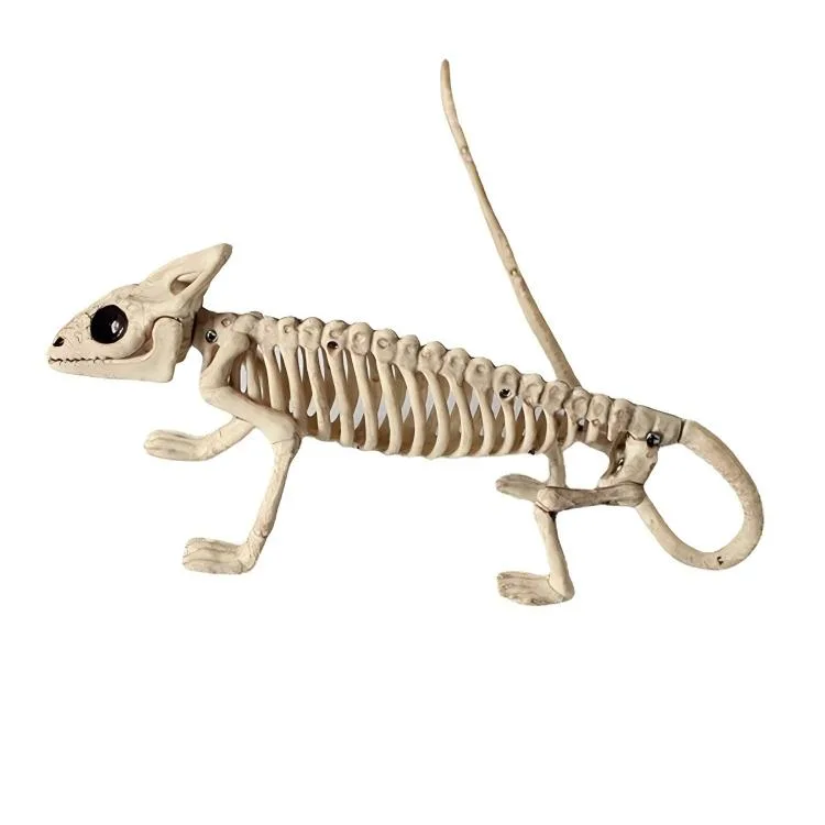 Lizard skeleton prop 1