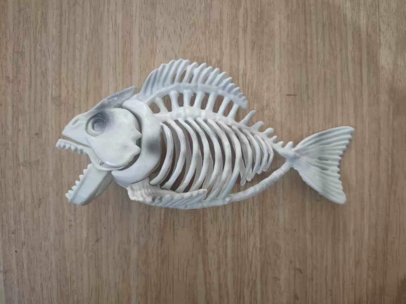 Piranha Skeleton Props 2