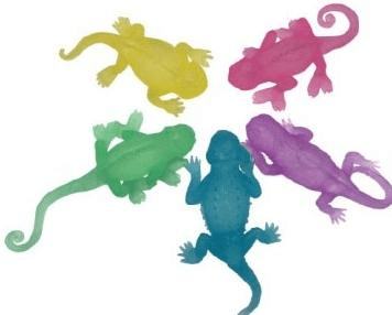 TPR Maltose lizard 1