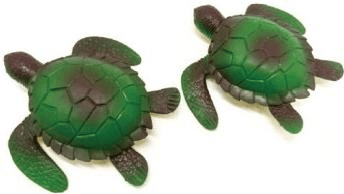 TPR Turle 1