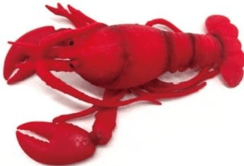 TPR Squeeze The Lobster 1